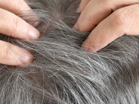 Le dilemme des cheveux gris : Peut-on les prévenir ?