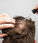 Scandinavian Biolabs serum for men - Hair Growth Specialist